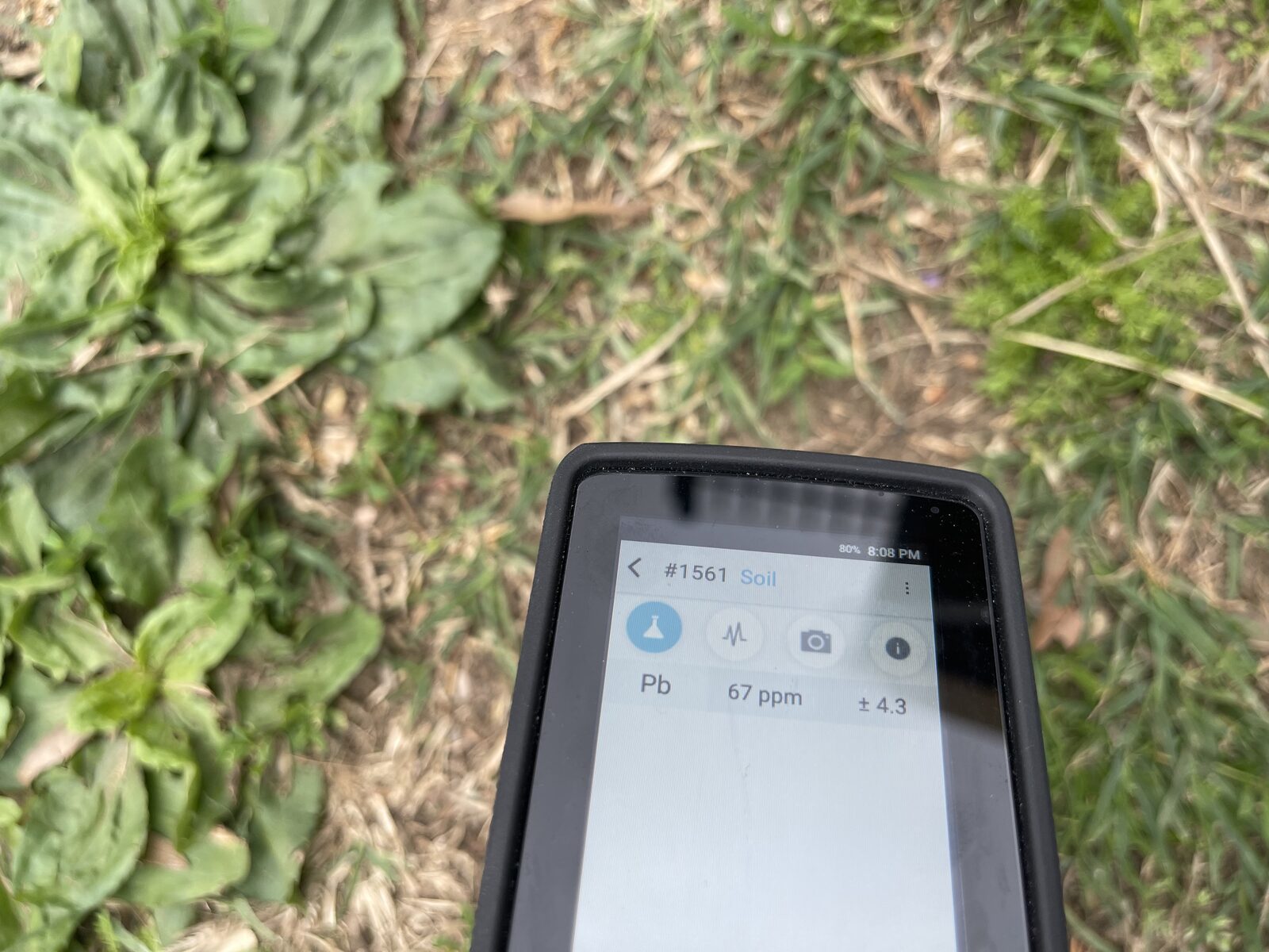 Handheld XRF analyzer showing a soil lead reading of 67 ppm